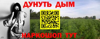 гидра Краснодар