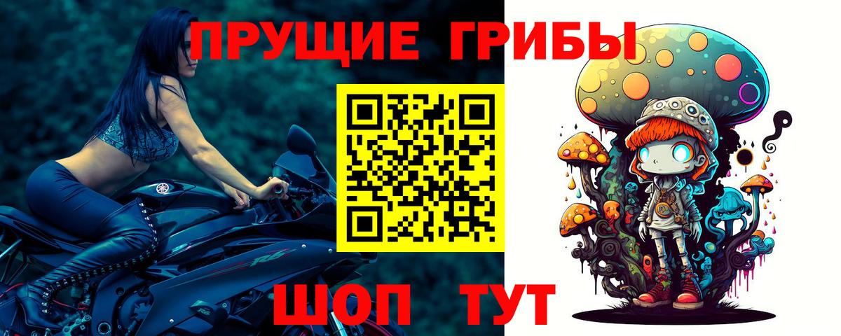 Псилоцибиновые грибы Magic Shrooms Казань